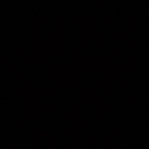 Meet your Posher, Bayleigh